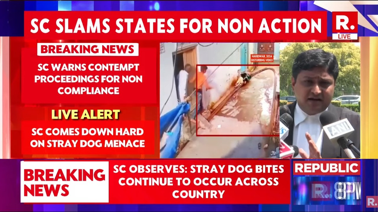 Stray Dog Case LIVE Updates: Euthanasia For 'Dangerous Dogs' To Curb Threat To Human Life, Says SC cover art