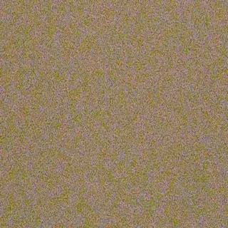 us colonial anus century cover art