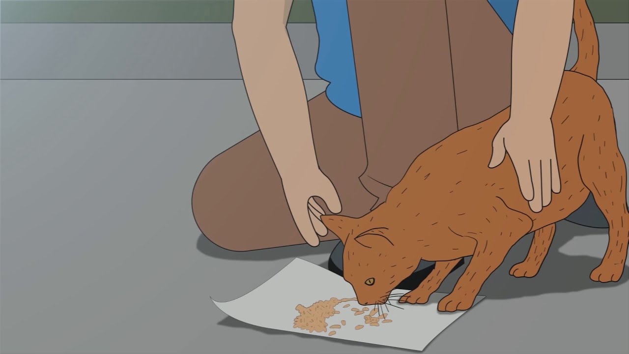 It Wasn't A Cat | True Horror Story Animated