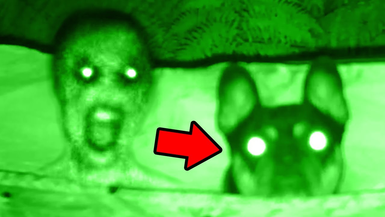 Top 5 SCARY Ghost Videos : Prepare to Be TERRIFIED cover art