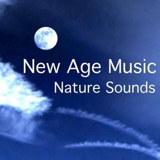 New Age Music - Nature Sounds: Music for Mindfulness Meditation, Good Sleep and Yoga Morning Sun Salutation cover art