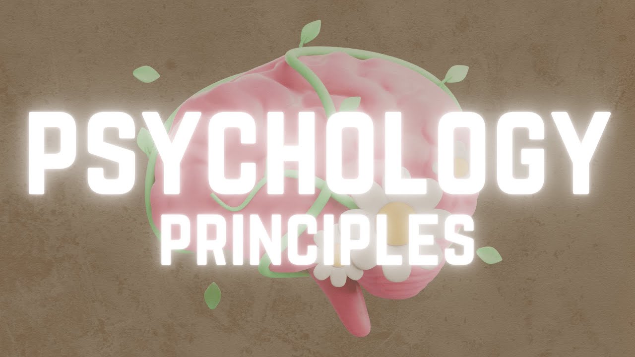 My Top 3 Trading Psychology Principles cover art
