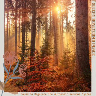 Sound To Regulate The Autonomic Nervous System