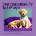 Schlaflied für kleine Pfoten