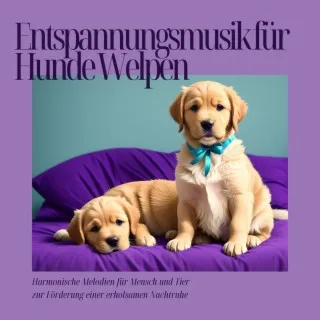 Ruhige Pfotenabdrücke cover art