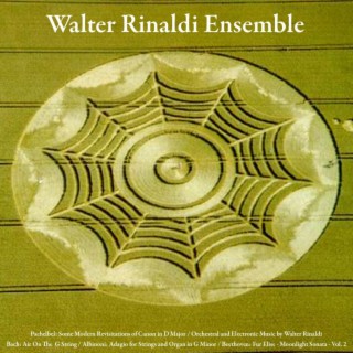 Pachelbel: Some Revisitations of Canon in D Major / Orchestral and Electronic Music by Walter Rinaldi / Beethoven: Fur Elise - Moonlight Sonata / Bach: Air On The G String / Albinoni: Adagio for Strings and Organ in G Minor - Vol. 2