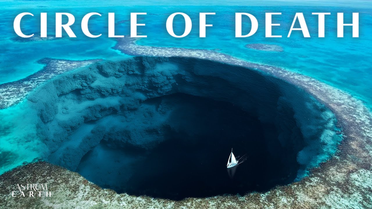You Won't Believe What They Found Inside This Hole cover art