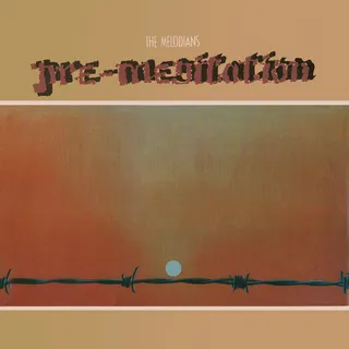 Pre-Meditation cover art