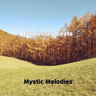 tennessee beats