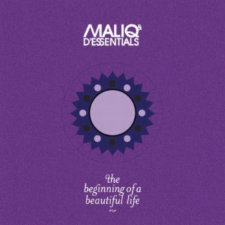 The Beginning Of A Beautiful Life