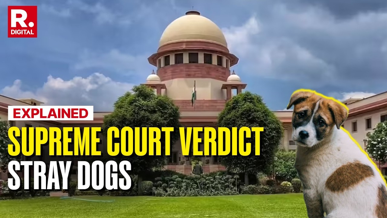 Supreme Court Cracks Down on Stray Dog, Pulls Up States Over 'Failure' To Tackle Crisis cover art