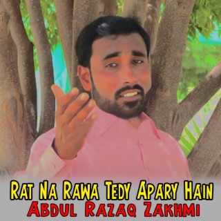 Rat Na Rawa Tedy Apary Hain cover art