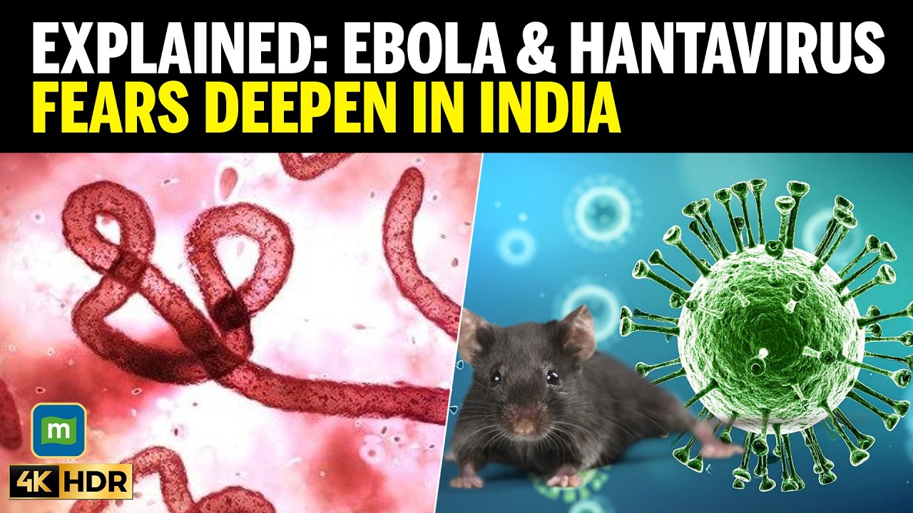 PANDEMIC FEARS LOOM IN INDIA? Dr Soumya Swaminathan Explains Ebola & Hantavirus Risks cover art