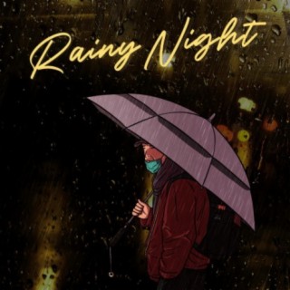 Rainy Night
