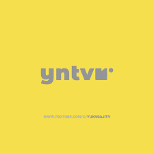 YNTV