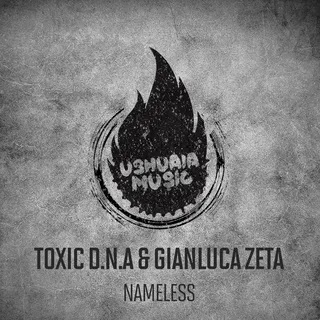 Nameless (Gigi de Martino Remix) ft. Gianluca Zeta cover art
