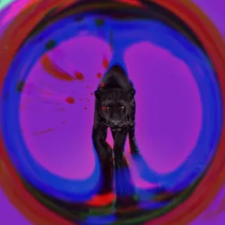 DARK PHONK POETRY cover art