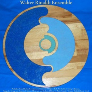 Pachelbel: Some Modern Revisitations of Canon in D Major / Bach: Air On The G String / Albinoni: Adagio for Strings and Organ in G Minor / Electronic and Orchestral Music by Walter Rinaldi / Mozart: Turkish March - Vol. 1