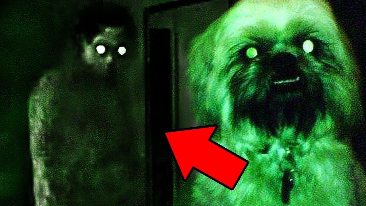 Top 5 Ghost Videos SO SCARY You'll Go Boom-Boom cover art