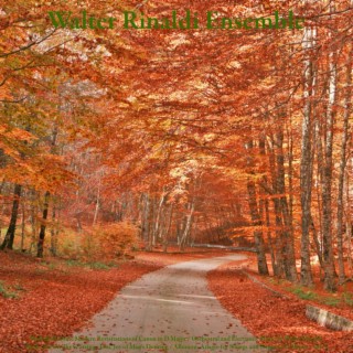 Pachelbel: Some Modern Revisitations of Canon in D Major / Orchestral and Electronic Music by Walter Rinaldi / Bach: Air On The G String - Jesu, Joy of Man's Desiring / Albinoni: Adagio for Strings and Organ in G Minor - Vol. 3