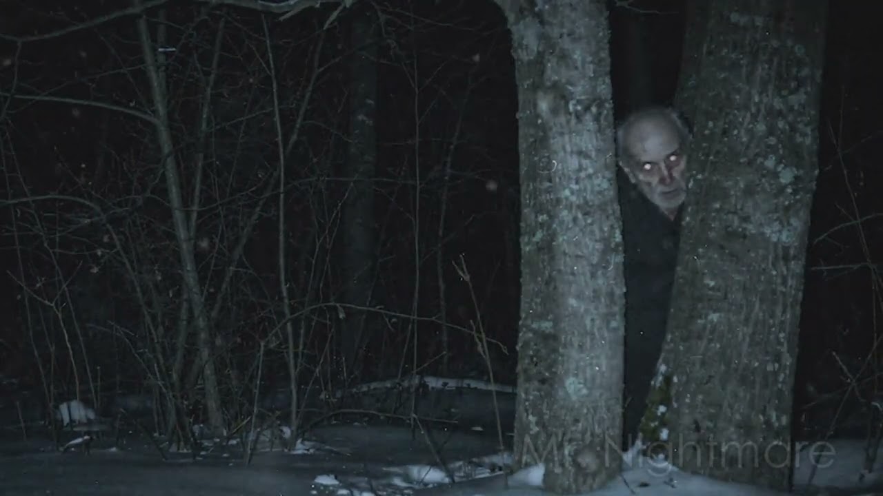 3 Very Scary TRUE Woods Horror Stories cover art
