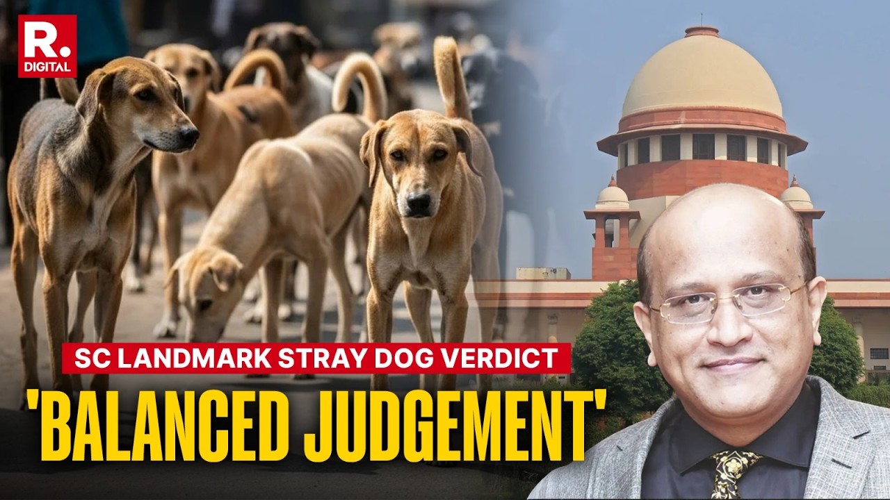 SC Pronounces Landmark Stray Dog Verdict: Advocate Swapnil Kothari Calls 'Very Balanced Judgement' cover art