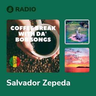 Salvador Zepeda Radio