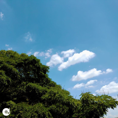 VISÃO EMBAÇADA ft. Magro Chefe cover art