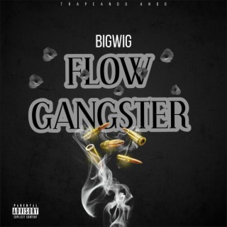 FLOW GANGSTER cover art