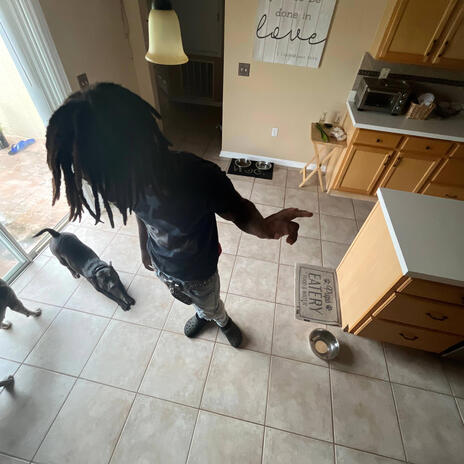 Step cover art