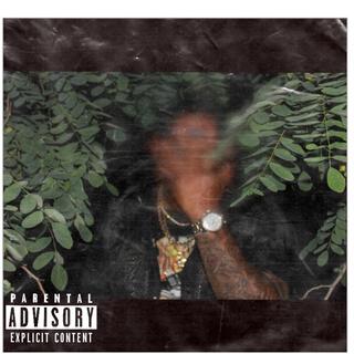 Nothing To Lose EP