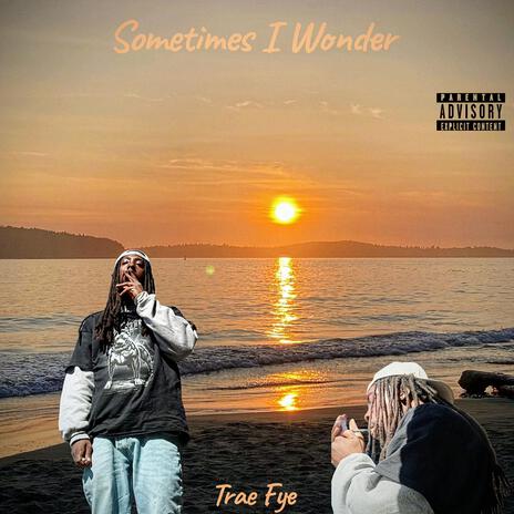 Sometimes I Wonder cover art