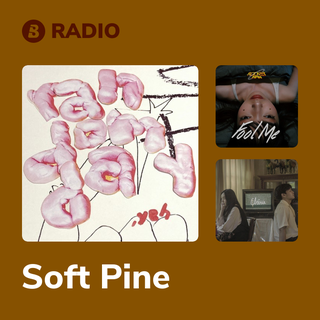 Soft Pine Radio