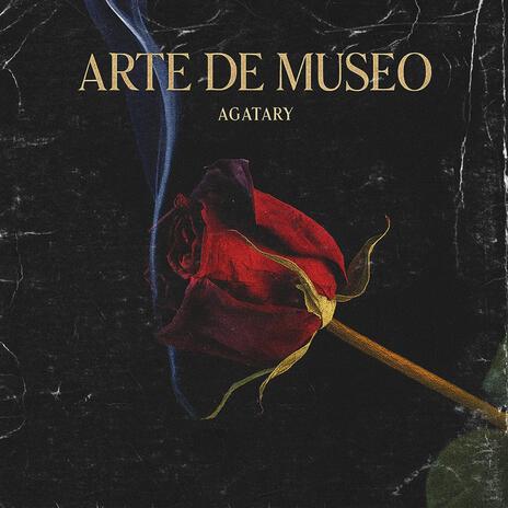 Arte de Museo cover art