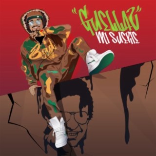 Mi Suerte cover art