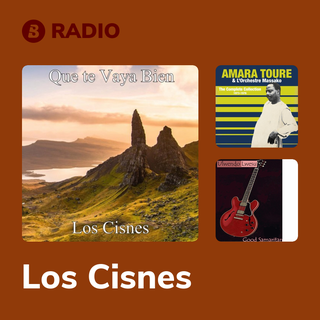 Los Cisnes Radio