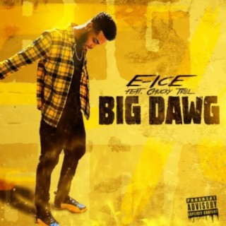 E-Ice
