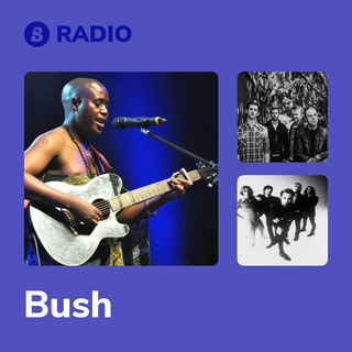 Bush Radio
