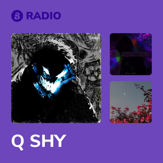 Q SHY Radio