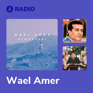 Wael Amer Radio