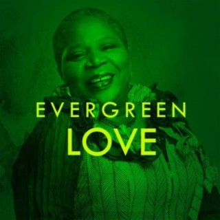 Evergreen Love