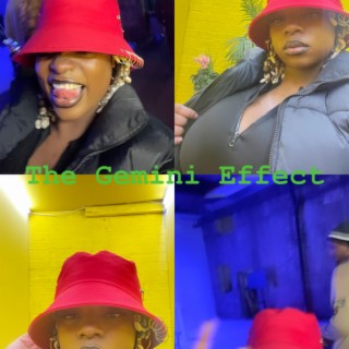 The Gemini Effect