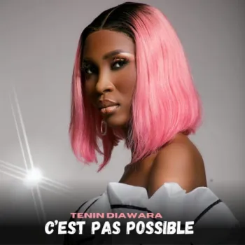 C’est Pas Possible cover art
