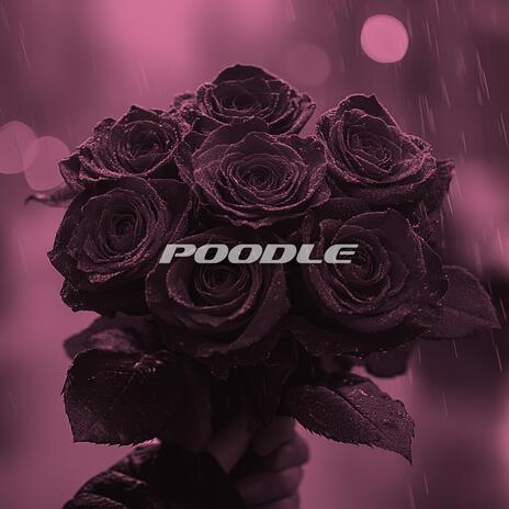 Poodle