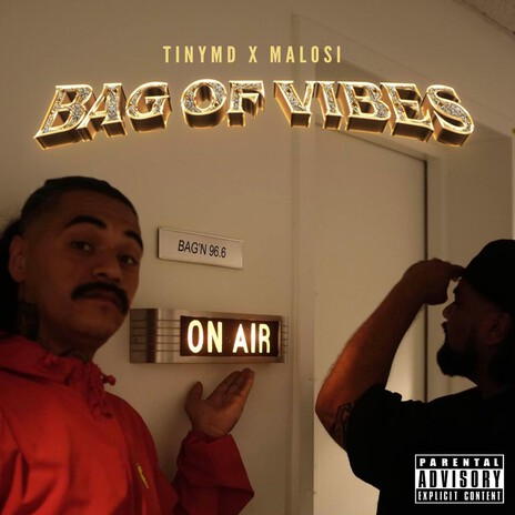 Need That Bag ft. Malosi & Hardini cover art