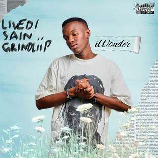 iWonder ft. Sain & Grindliip cover art