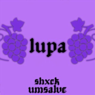 Lupa ft. Shxck cover art