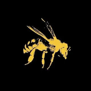 Bee like cover art
