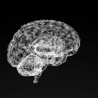 burymybrain