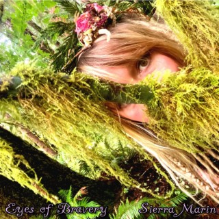 Eyes of Bravery cover art
